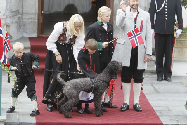 HUND I HOVEDROLLEN: Milly Kakao fikk det meste av oppmerksomheten da kronprinsparet hilste på barnetoget foran Skaugum i 2011. Foto: NTB scanpix HUND I HOVEDROLLEN: Milly Kakao fikk det meste av oppmerksomheten da kronprinsparet hilste på barnetoget foran Skaugum i 2011. Foto: NTB scanpix